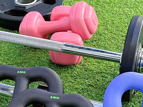 HOS-D Series Barbell Dumbbell.jpg